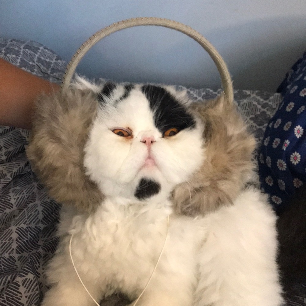 Earmuff head phones